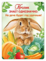 Магнит виниловый Кролик знает однозначно... символ года 15.16.01424