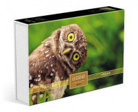 Пазлы 500 Мудрая сова Legend ZooStyle подарочная коробка + постер