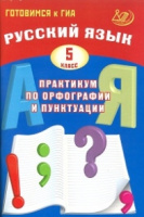 Русский язык 5кл практикум по орфографии и пунктуации готовимся к ГИА