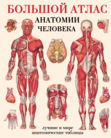 Большой атлас анатомии человека 9093 твердая обложка