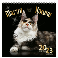 Календарь 2023 на спирали Магия кошки 32*32см