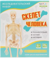 Набор исследовательский Скелет человека 325046