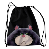 Сумка для сменной обуви 37*47 Недовольный кот 75681