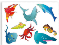 Трафарет Морские обитатели ТР-06