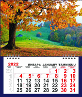 Календарь 2023 отрывной Пейзаж осень 200*135 мм