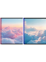 Тетр 48 л клет гребень Полет над облаками 48-8339