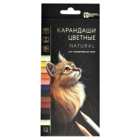 Карандаш 12 цв Феникс Натурель дерево 64103