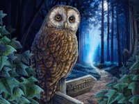 Пазлы 500 деталей Путь Магии 3D The Way of the Witch