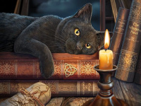 Пазлы 500 деталей Час Магии 3D The Witching Hour