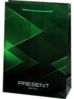 Пакет бумажный 22*31*10 Green present 128гр глянц лам ПКП-9155