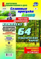 Сезонные прогулки (от 2 до 3 лет) Группа раннего возраста Лето карта-план из 64 тематических карт дл