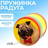 Пружинка радуга Лучший друг 5*5*7см в ассортименте