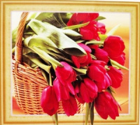 Алмазная мозаика 40*50 7D Красные тюльпаны (холст на подрамнике, матовые стразы, стилус)