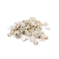 Набор Ракушек Patella Sacharina 100гр DRF-011