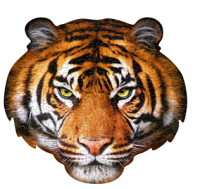 Пазлы контурные 550 Тигр