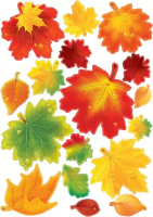 Наклейка оформительская Листья клена двусторонняя А3 0201138