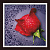 Алмазная мозаика 25*25 Красная роза (холст без подрамника, пластиковые элементы)