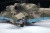 Конструктор Звезда Советский Ударный Вертолет Ми-24П 1:48 326дет 44.7см