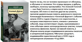 Козачинский Зеленый фургон (покет)