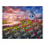 Картина по номерам 40*50 Тюльпановое поле холст на подрамнике Рх-102