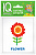 Карточки умный малыш English Растения 15 цветных карточек