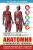 Анатомия и физиология человека. Учебное пособие для студентов учреждений среднего профессионального 