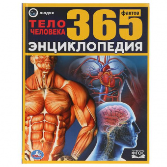 Энц 365 фактов Тело человека