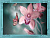 Набор для вышивания бисером 30*40 Нежная Орхидея