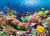 Пазлы 1000 Коралловый Риф